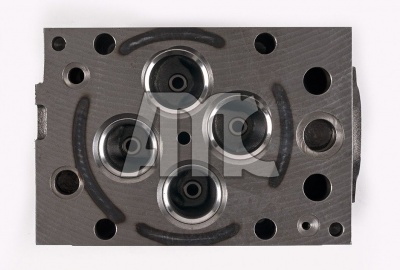 909092  AXOR  /  CITARO  